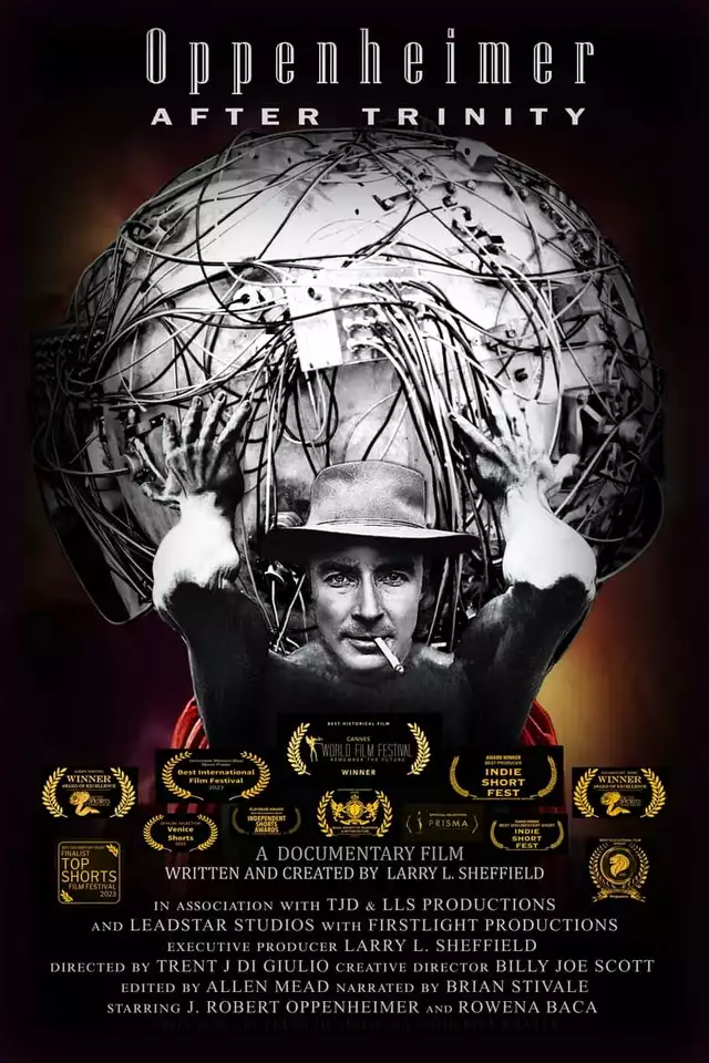 movie vertical poster fallback
