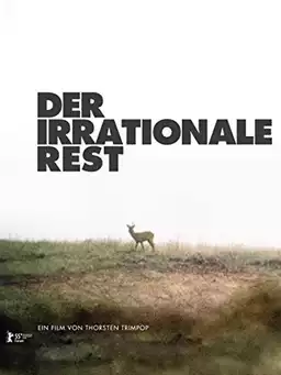 Der irrationale Rest