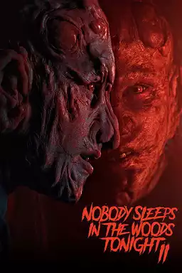 Nobody Sleeps in the Woods Tonight 2