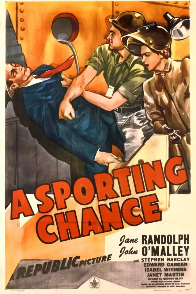movie vertical poster fallback
