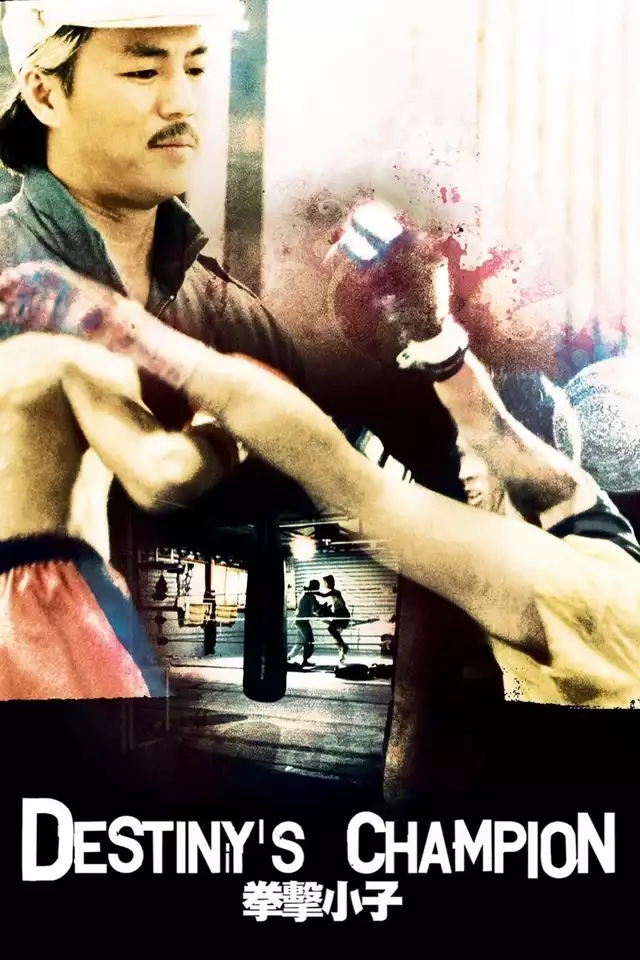 movie vertical poster fallback