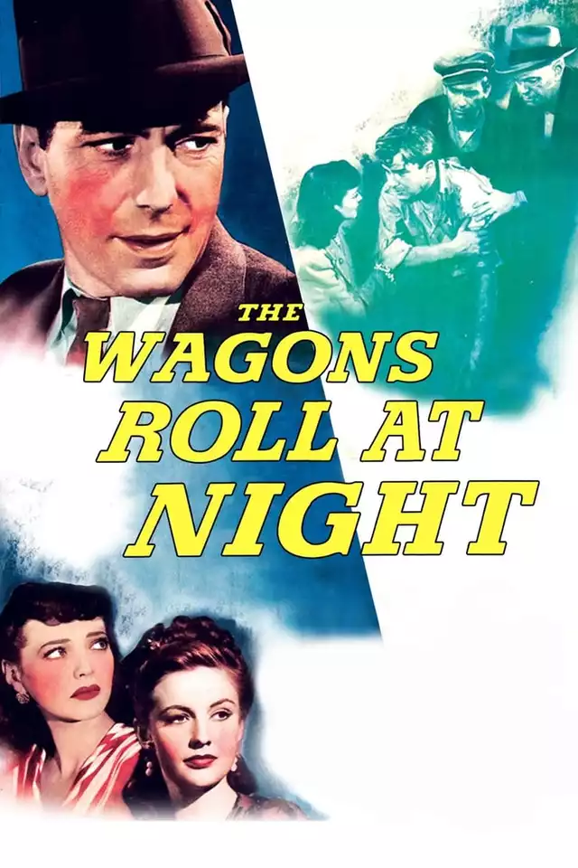 movie vertical poster fallback