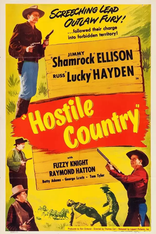 movie vertical poster fallback