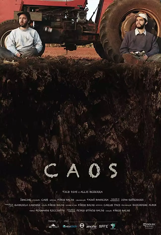 movie vertical poster fallback