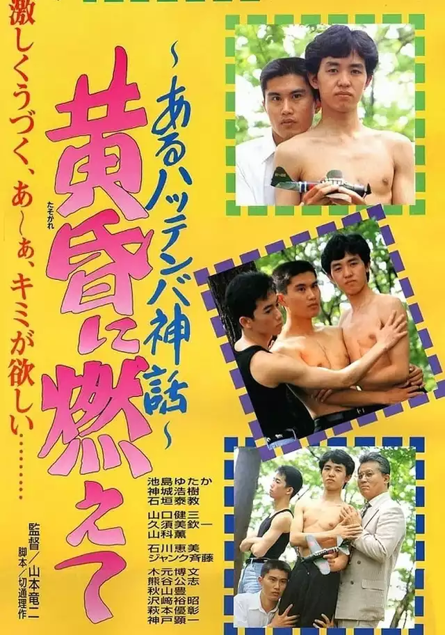 movie vertical poster fallback