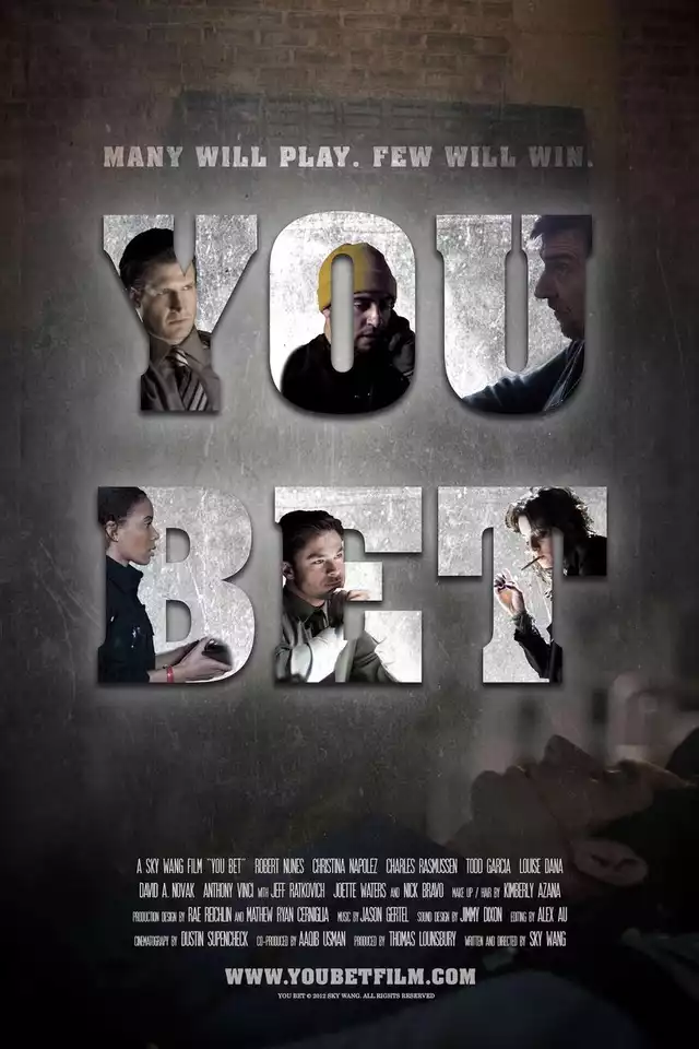 movie vertical poster fallback