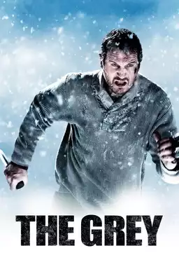 The Grey