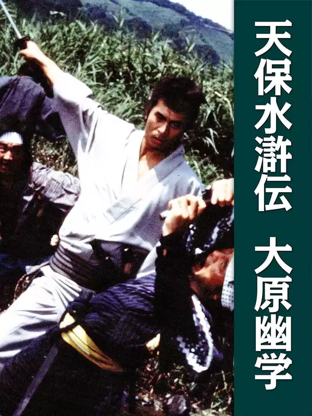 movie vertical poster fallback
