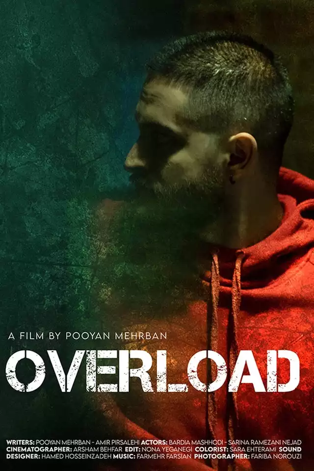 movie vertical poster fallback