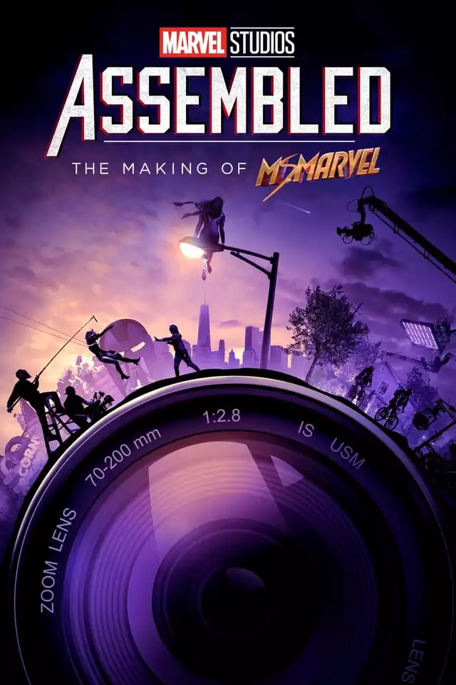 movie vertical poster fallback