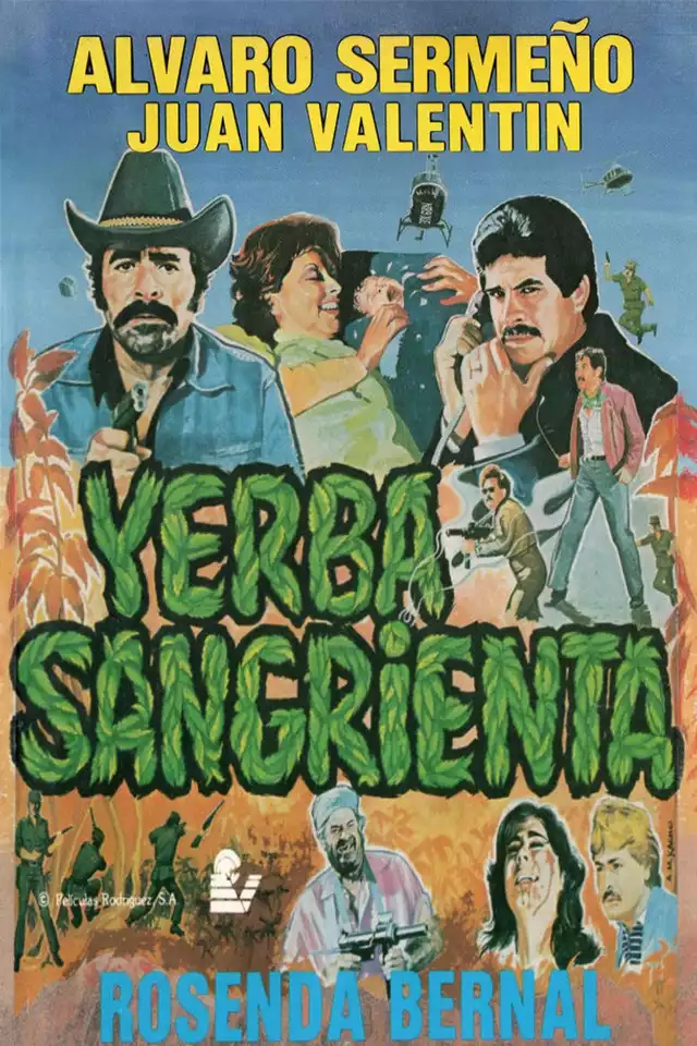 movie vertical poster fallback