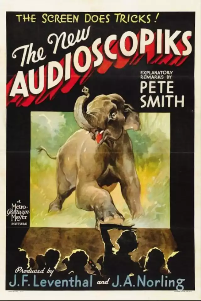 movie vertical poster fallback