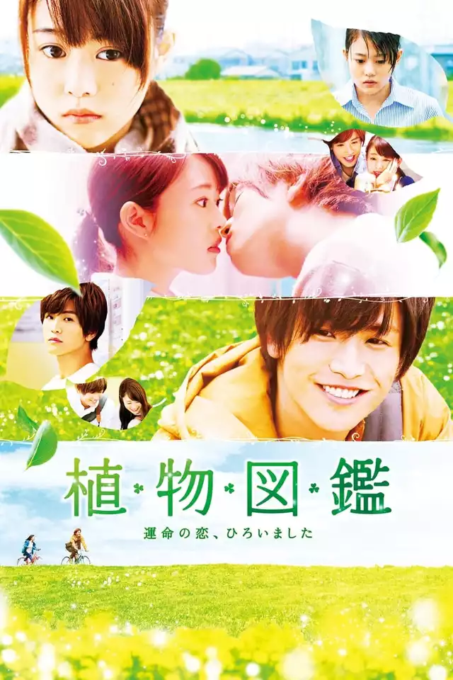 movie vertical poster fallback