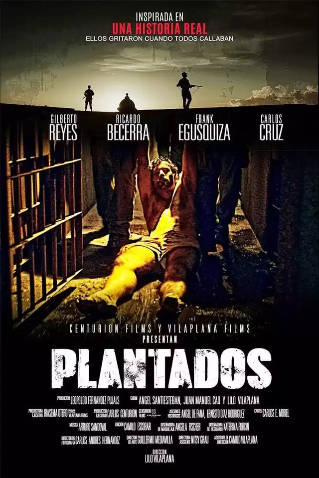 movie vertical poster fallback