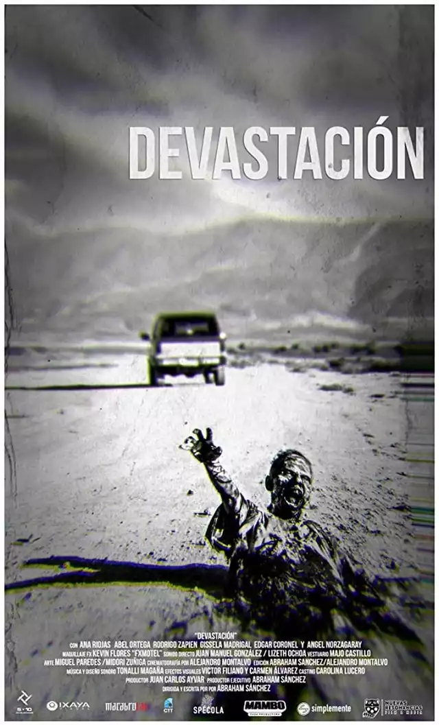 movie vertical poster fallback