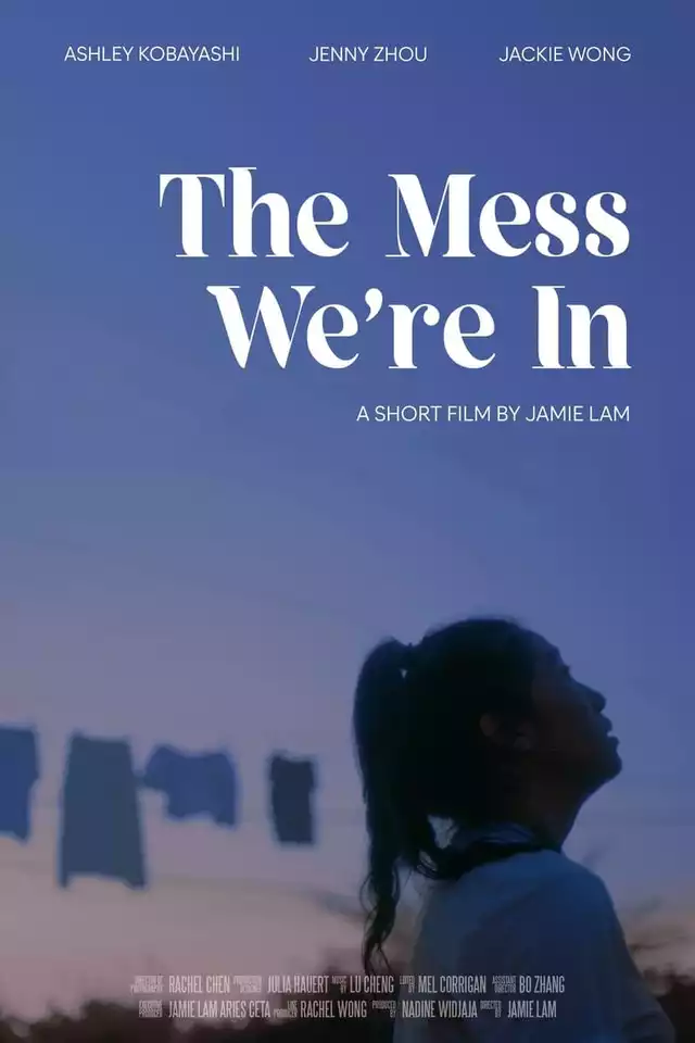 movie vertical poster fallback