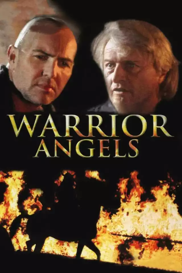 movie vertical poster fallback