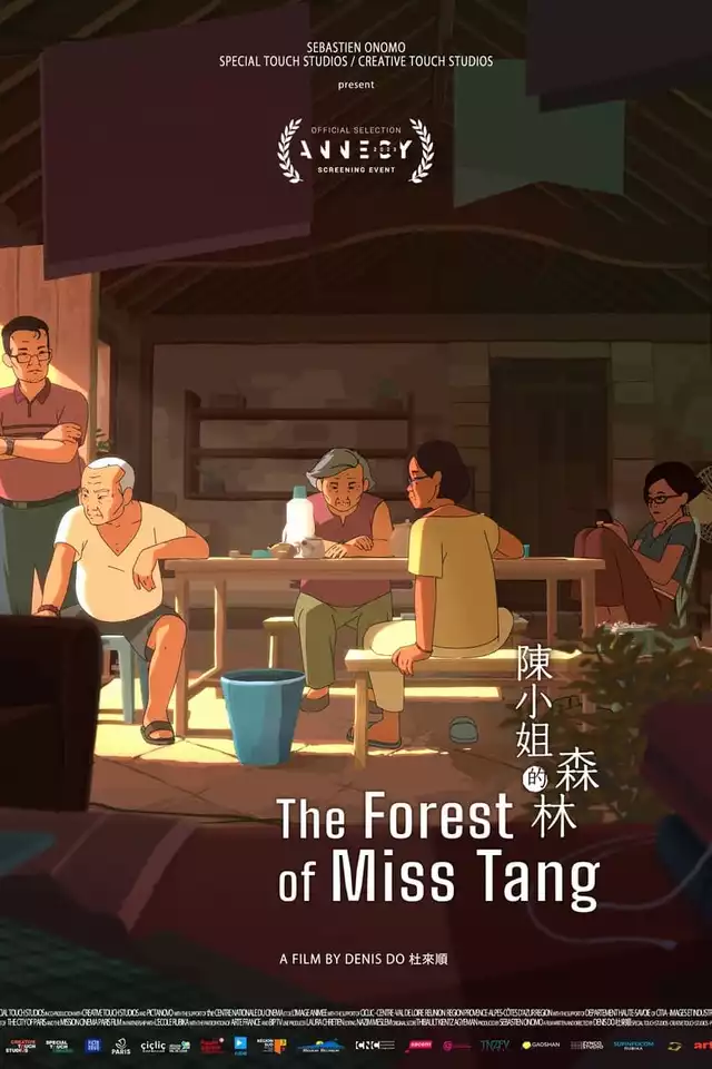 movie vertical poster fallback