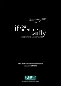 If You Need Me, I Will Fly