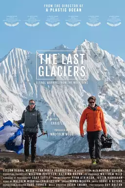 The Last Glaciers