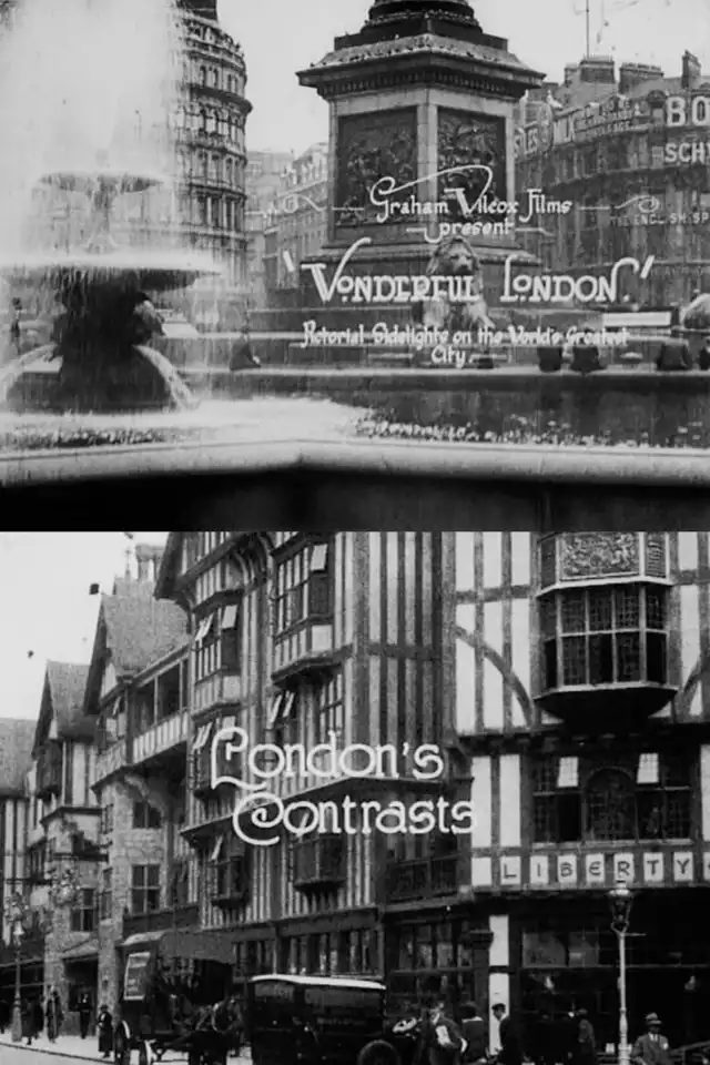 movie vertical poster fallback