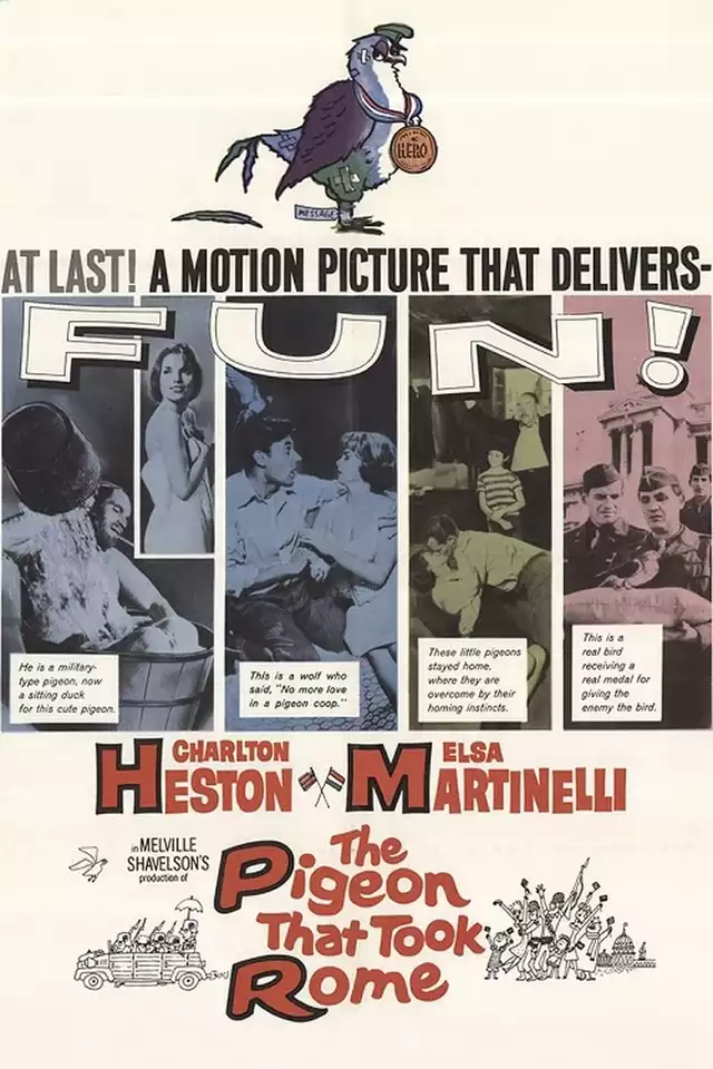 movie vertical poster fallback