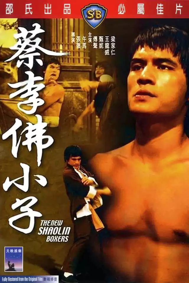 movie vertical poster fallback