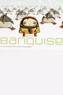 Banquise