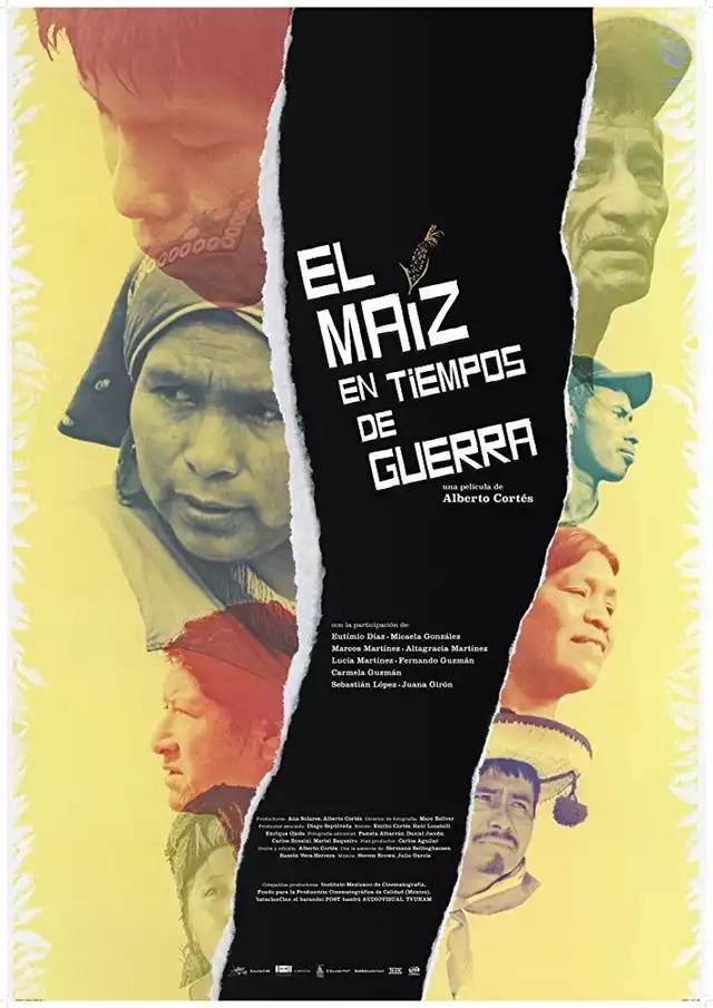 movie vertical poster fallback