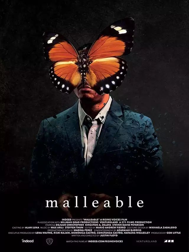 movie vertical poster fallback