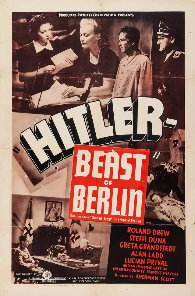 movie vertical poster fallback