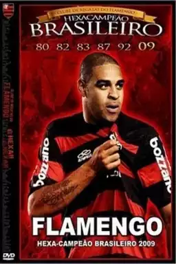 Flamengo: Hexa-Campeão Brasileiro 2009
