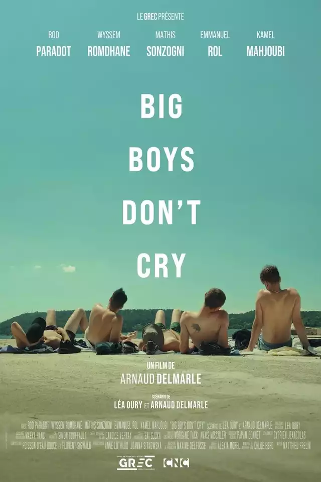 movie vertical poster fallback