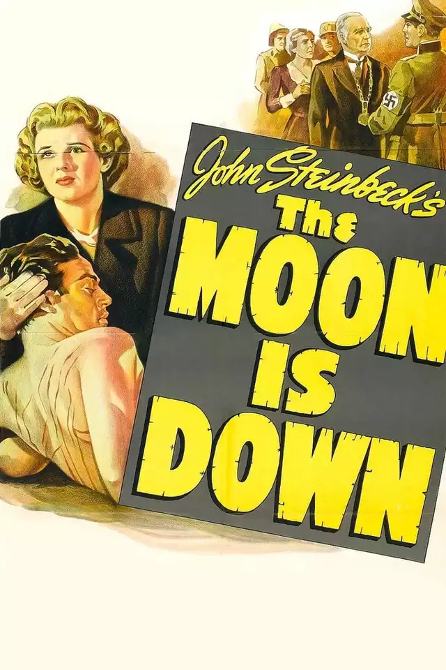 movie vertical poster fallback