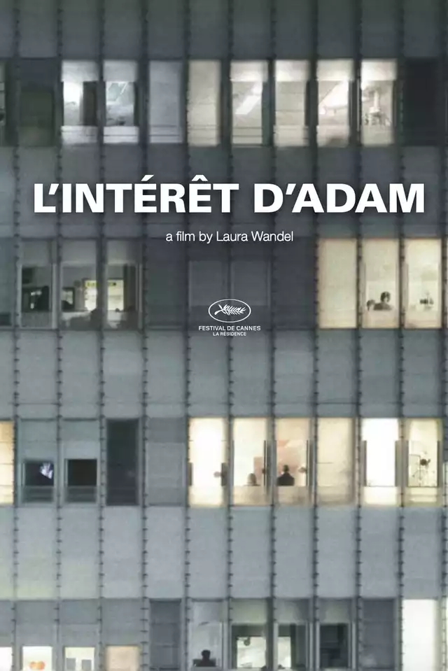 movie vertical poster fallback