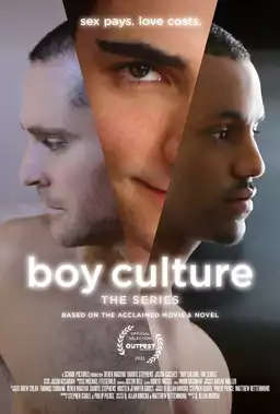 Boy Culture: The Series