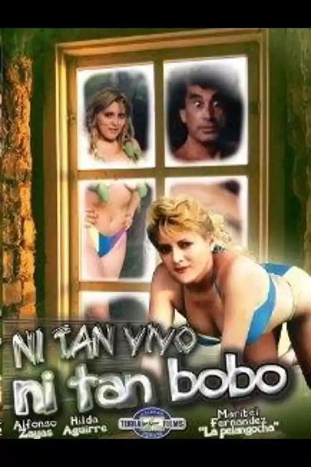 movie vertical poster fallback