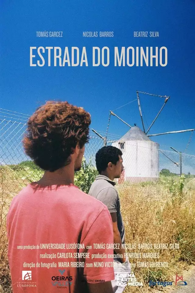 movie vertical poster fallback