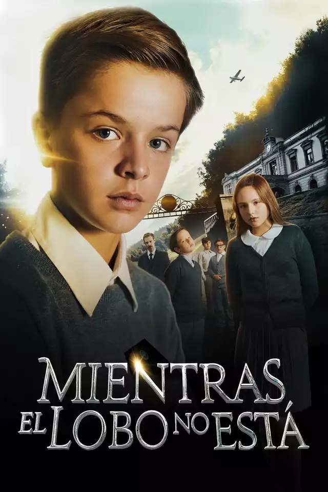 movie vertical poster fallback