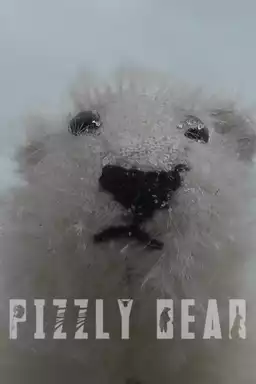 Pizzly Bear