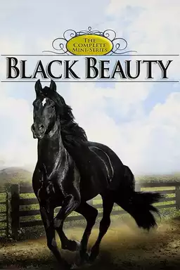 Black Beauty