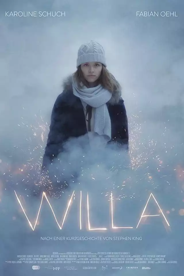 movie vertical poster fallback