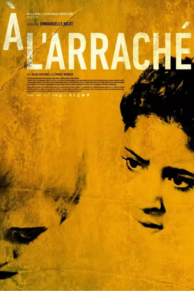 movie vertical poster fallback