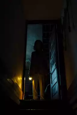 Shadow
