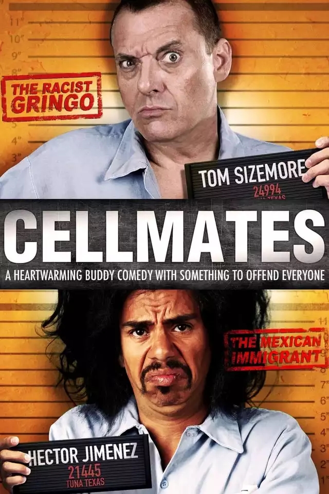 movie vertical poster fallback