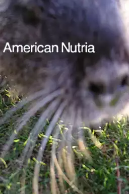 American Nutria