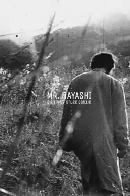 Mr. Hayashi