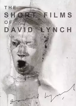 The Short Films of David Lynch