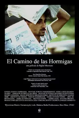 El camino de las hormigas