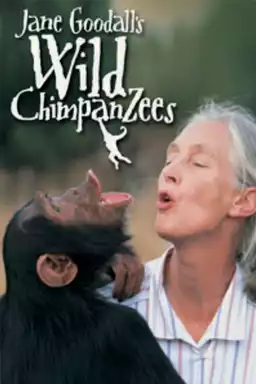 Jane Goodall's Wild Chimpanzees